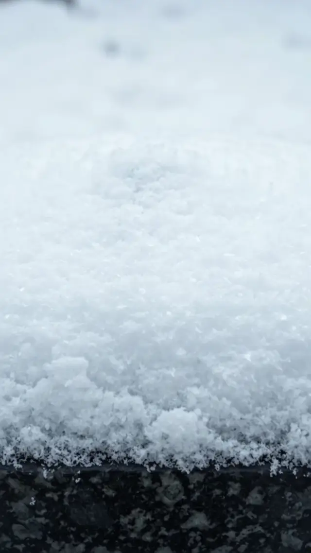 When Perfume Sleeps Under the Snow ❄️🖤