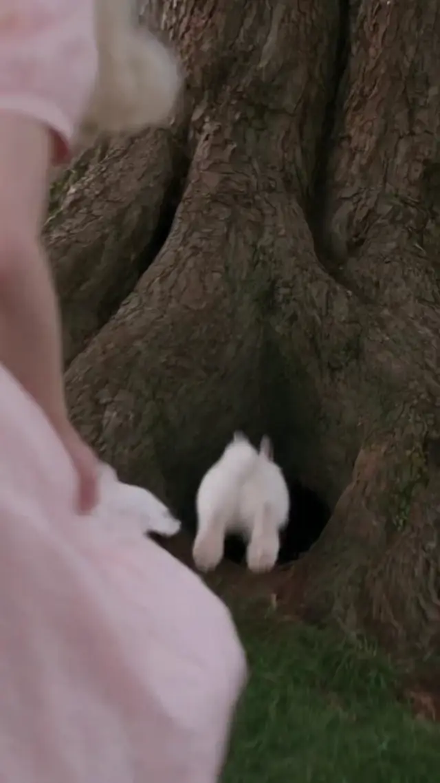 Alice in Wonderland Scale Shift AI Video Prompt for Product Advertising
