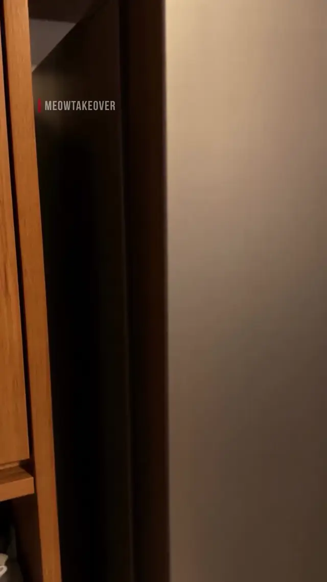 Adorable Kitten Takeover: AI Video Prompt for Pet Food and Snack Ads