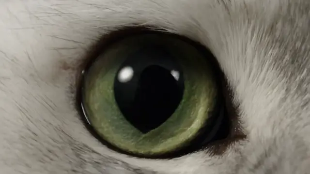 High-Key Cat Fashion Commercial AI Video Prompt for Pet Apparel