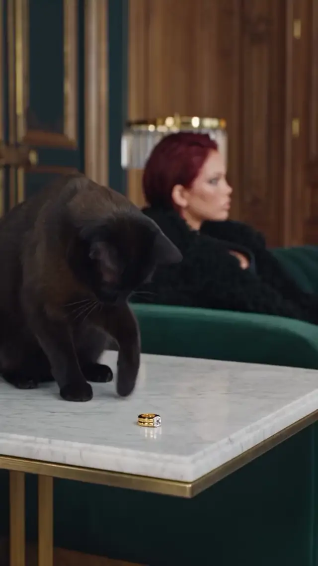 Luxurious Cat Chase Video Ad Concept: High-End Product Promotions